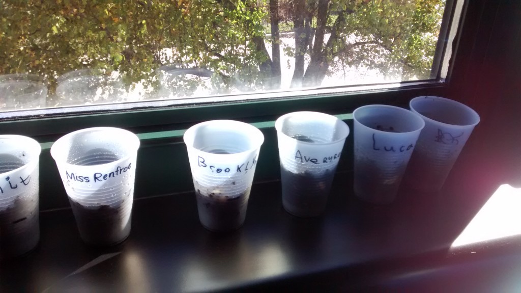 Identifying Medial Sounds – Kindergarten Blog