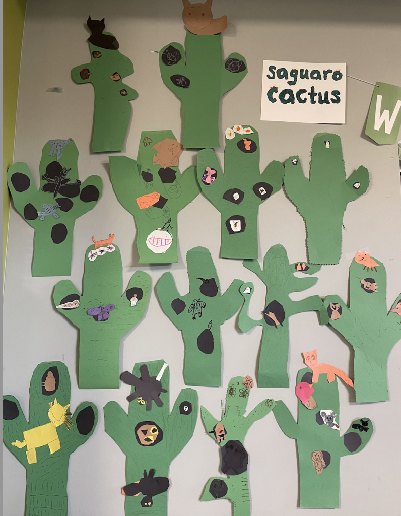Saguaro Cactus - 1st Grade Blog