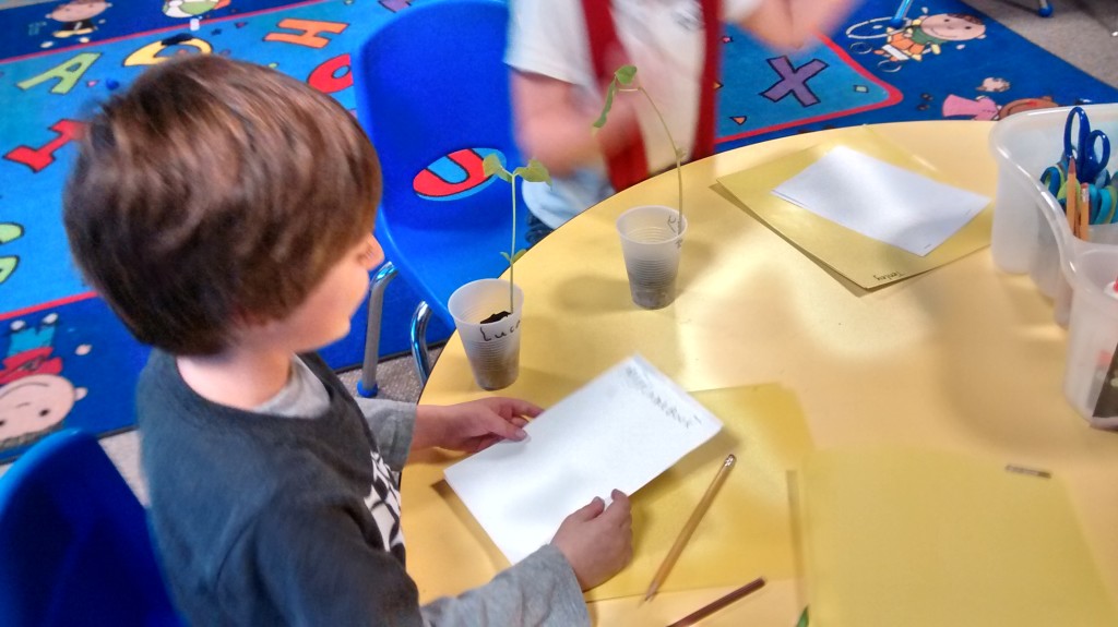 Our Plant Books – Kindergarten Blog